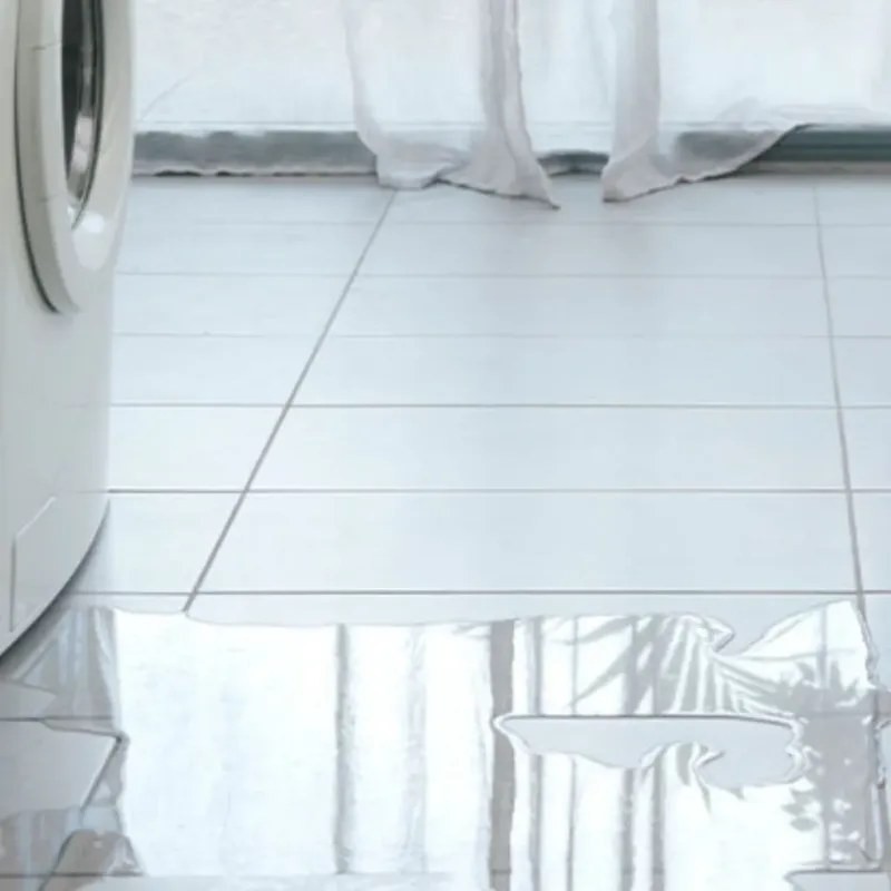Appliance Leak Cleanup in Saint Charles, MI