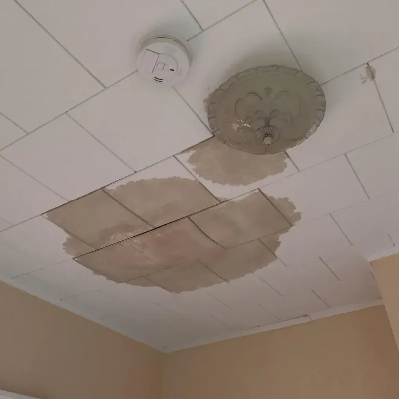 Ceiling Water Damage Repair in Saint Charles, MI
