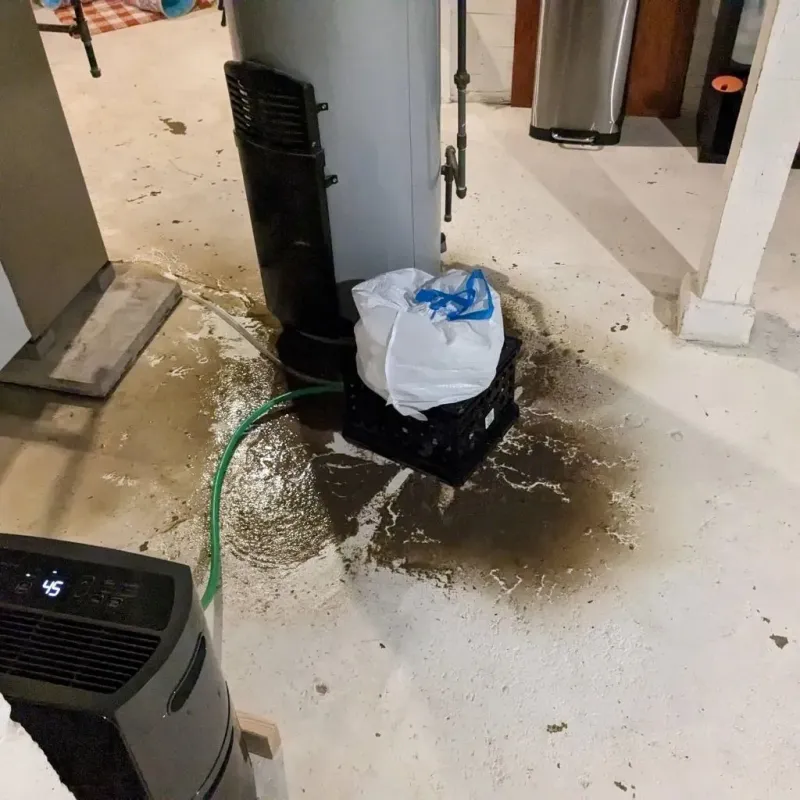 Sewage Backup Cleanup Service in Saint Charles, MI